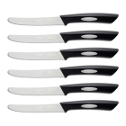 CLASSIC 6-Piece Steak Knife Set