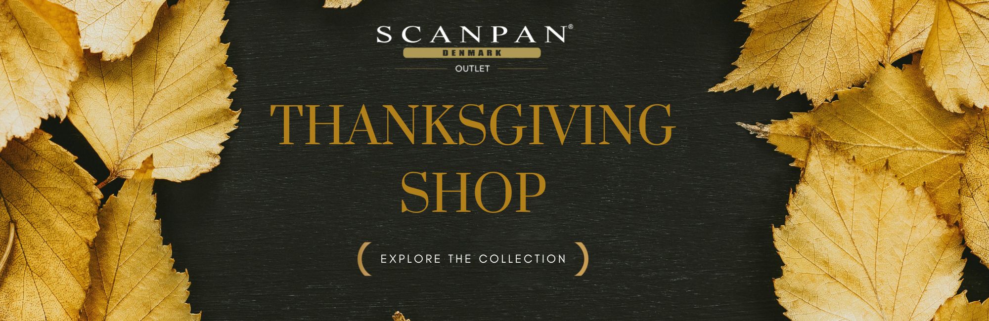 thanksgiving outlet 2025